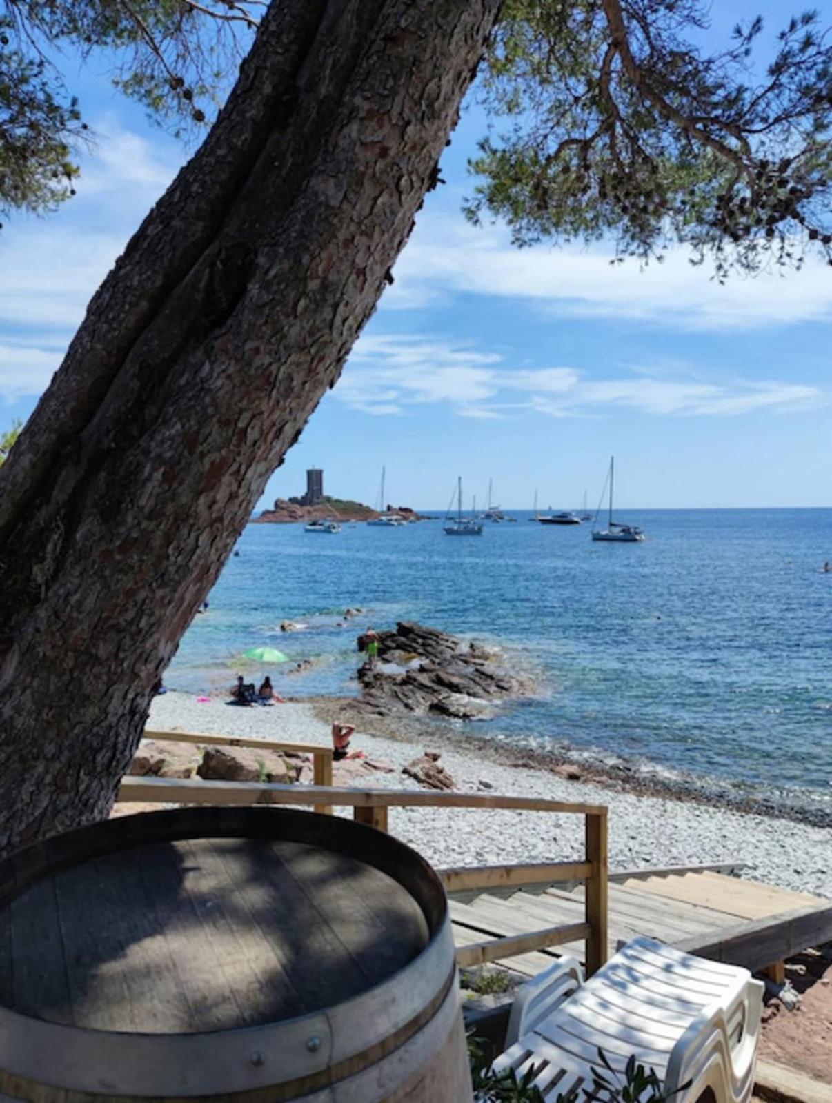 Charming T2 100 Meters From The * Fréjus